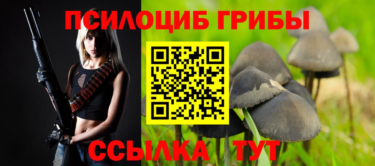 Псилоцибиновые грибы Magic Shrooms  Вход с VPN  Алапаевск  Псилоцибиновые грибы прущие грибы 
